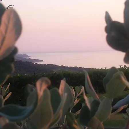 Colle Selvotta Bed & Breakfast