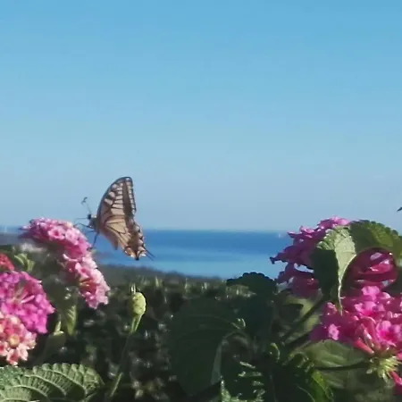 Colle Selvotta Bed & Breakfast 3*