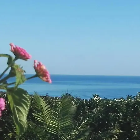 Colle Selvotta 3* Васто
