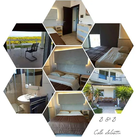 Bed & Breakfast Colle Selvotta 3*