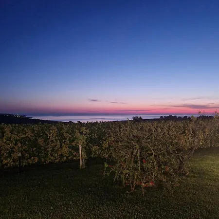 Colle Selvotta Bed & Breakfast
