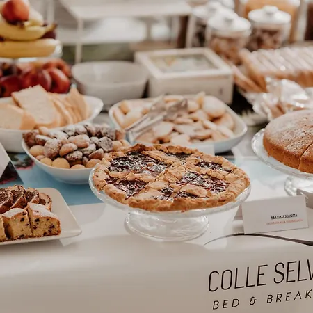 Colle Selvotta