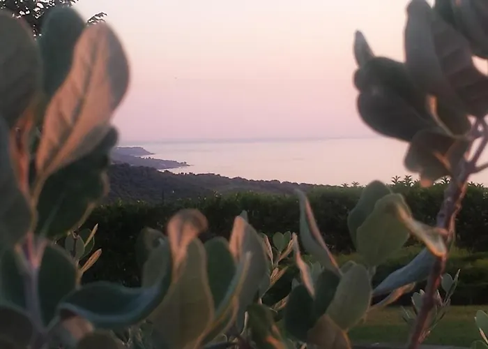 Colle Selvotta Bed & Breakfast