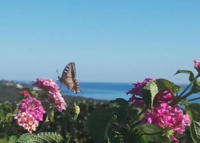 Colle Selvotta Alojamento de Acomodação e Pequeno-almoço 3*